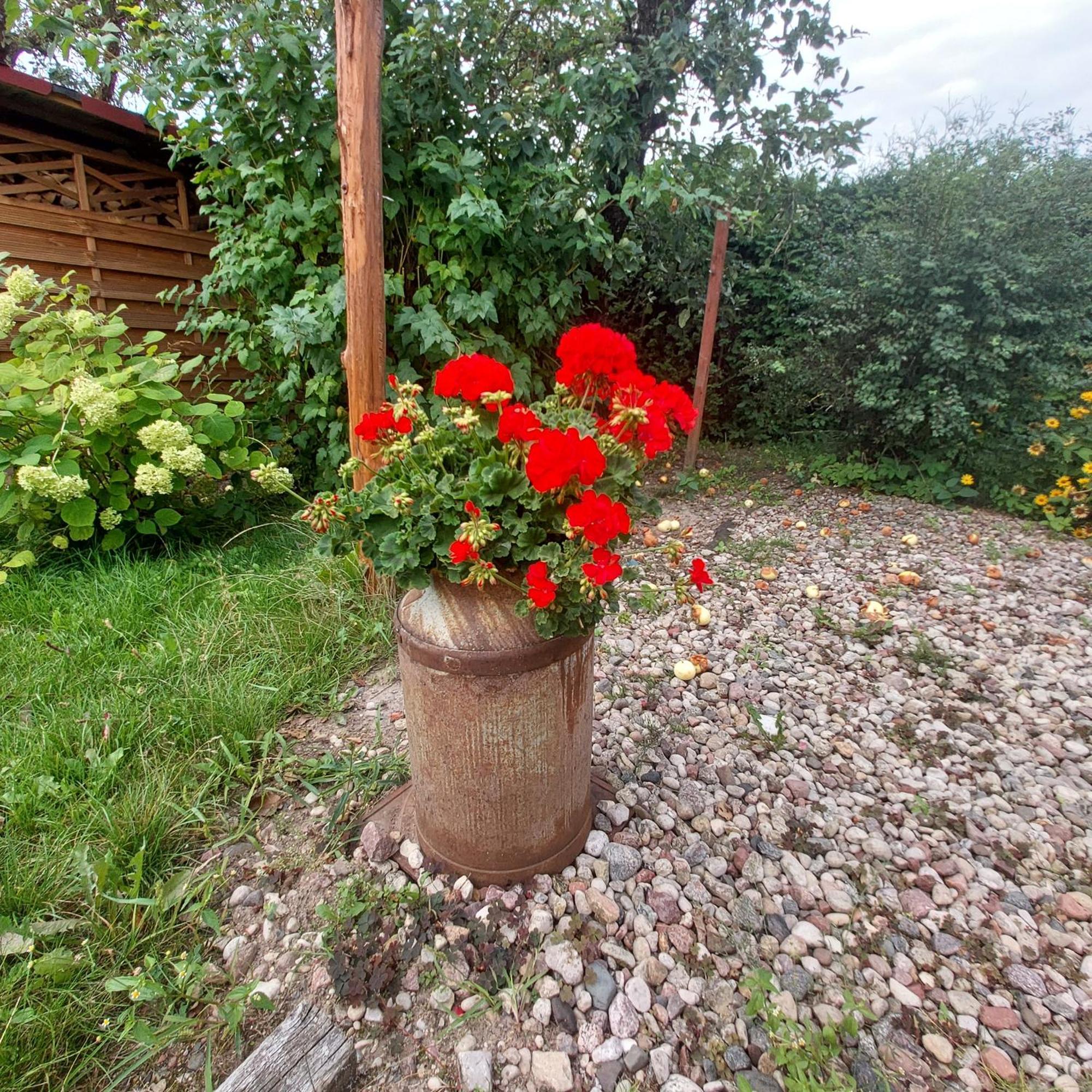 Mazury Home Гижицко Экстерьер фото